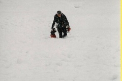 Photo-15