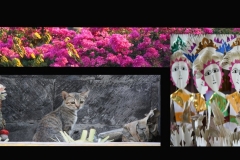 Bali-00-9